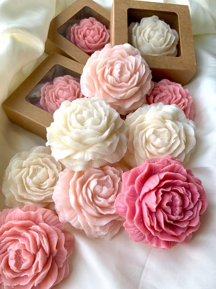 Peony flower