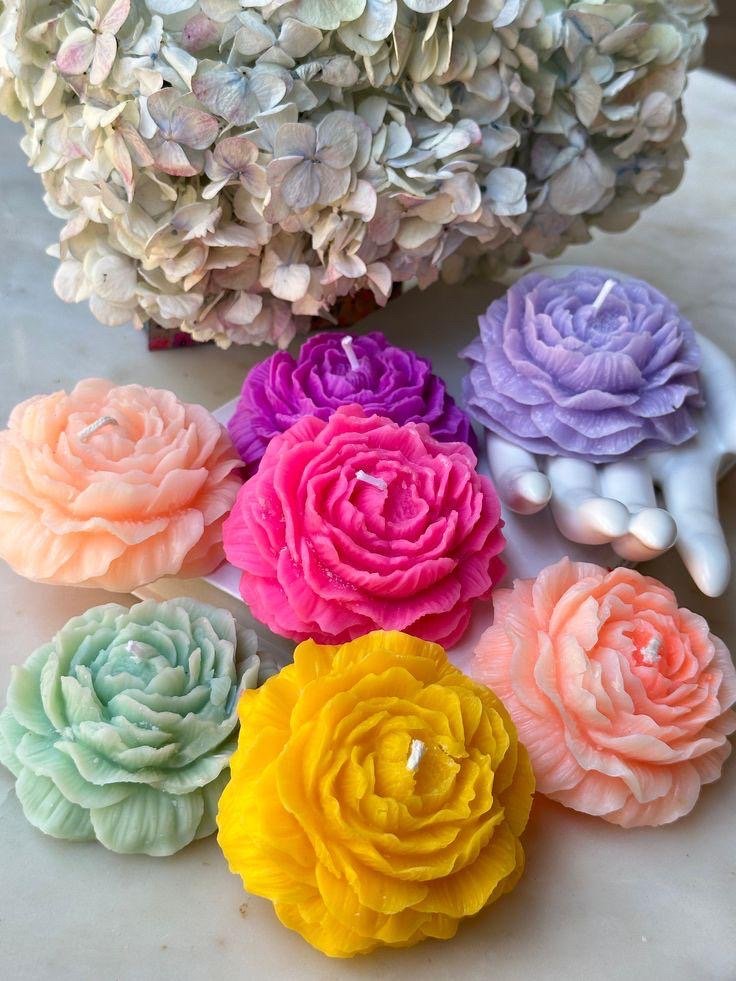 Peony flower