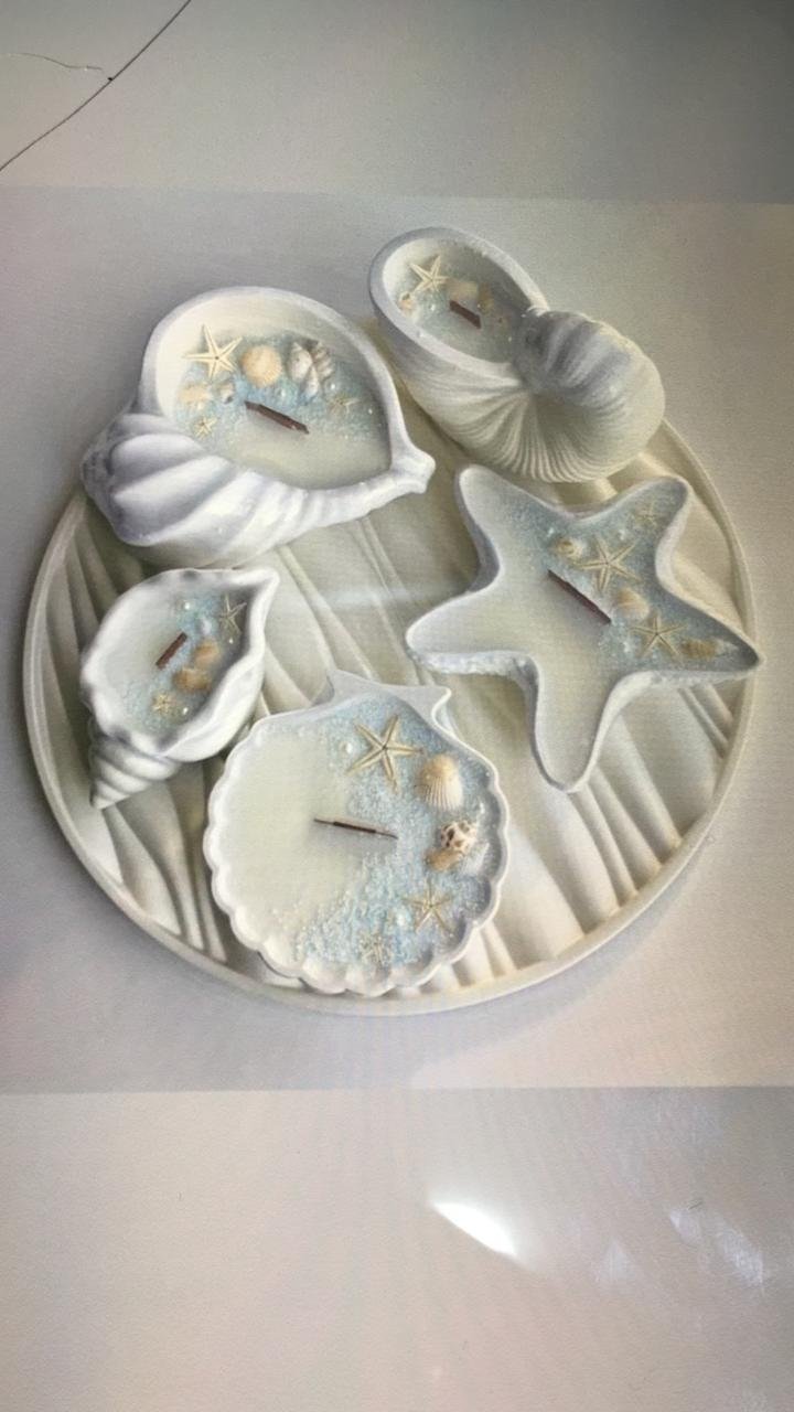Tray + 5 pieces of concrite and wax