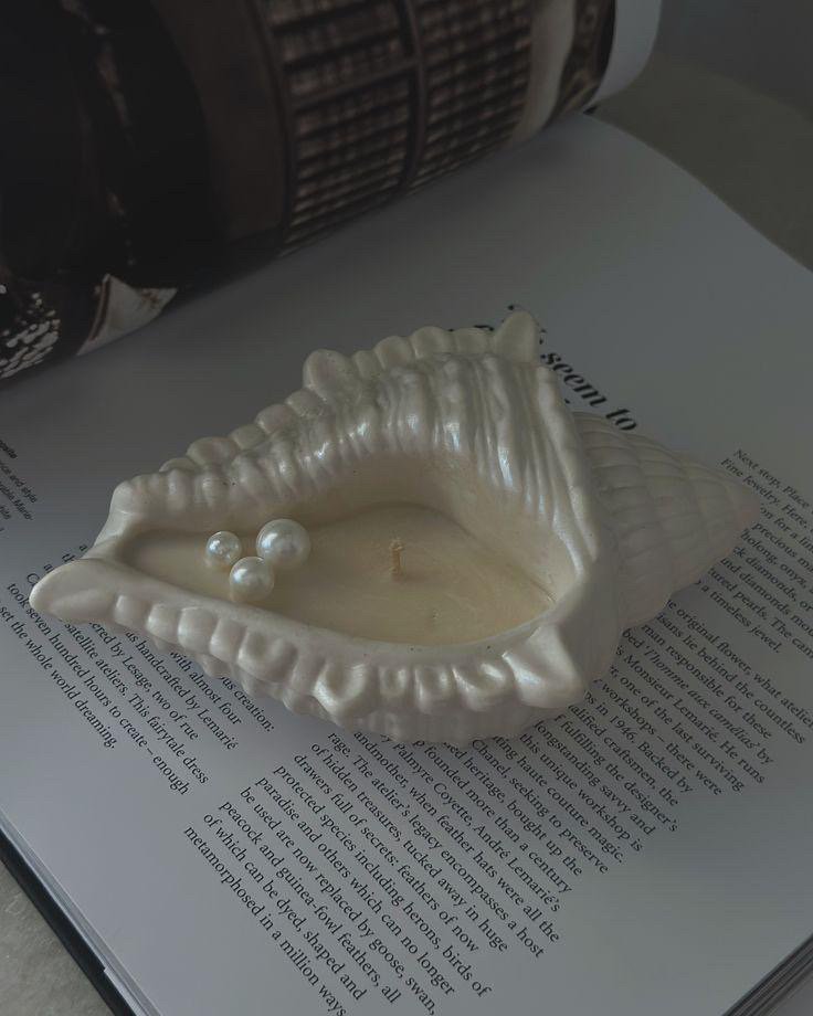 Tray + 5 pieces of concrite and wax
