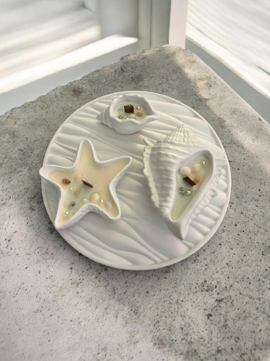 Tray + 5 pieces of concrite and wax